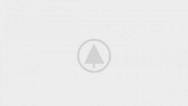 wood-gallery-placeholder-3