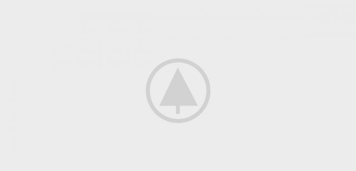 wood-gallery-placeholder-4
