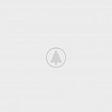 wood-portfolio-placeholder