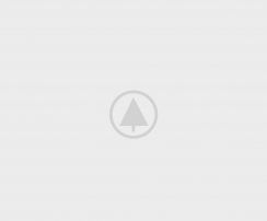wood-portfolio-placeholder