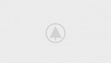 wood-portfolio-placeholder