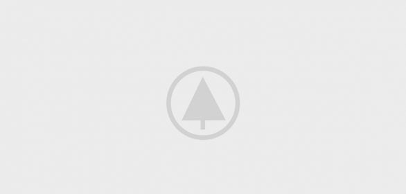 wood-portfolio-placeholder